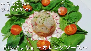 釣魚マゴチで🎣カルパッチョ~オレンジソース~