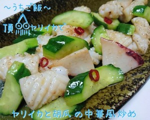 頂ヤリイカで🎣ヤリイカと胡瓜の中華風炒め