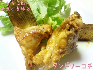 釣魚真鯒で🎣タンドリーコチ