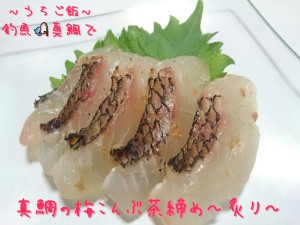 釣魚真鯛で🎣真鯛の梅こんぶ茶締め~炙り~