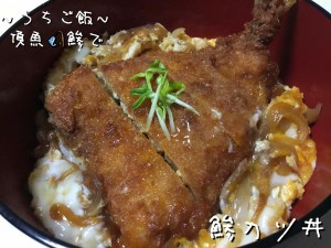 頂魚鯵で🎣鯵カツ丼