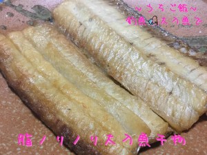 釣魚太刀魚で🎣脂ノリノリ太刀魚干物