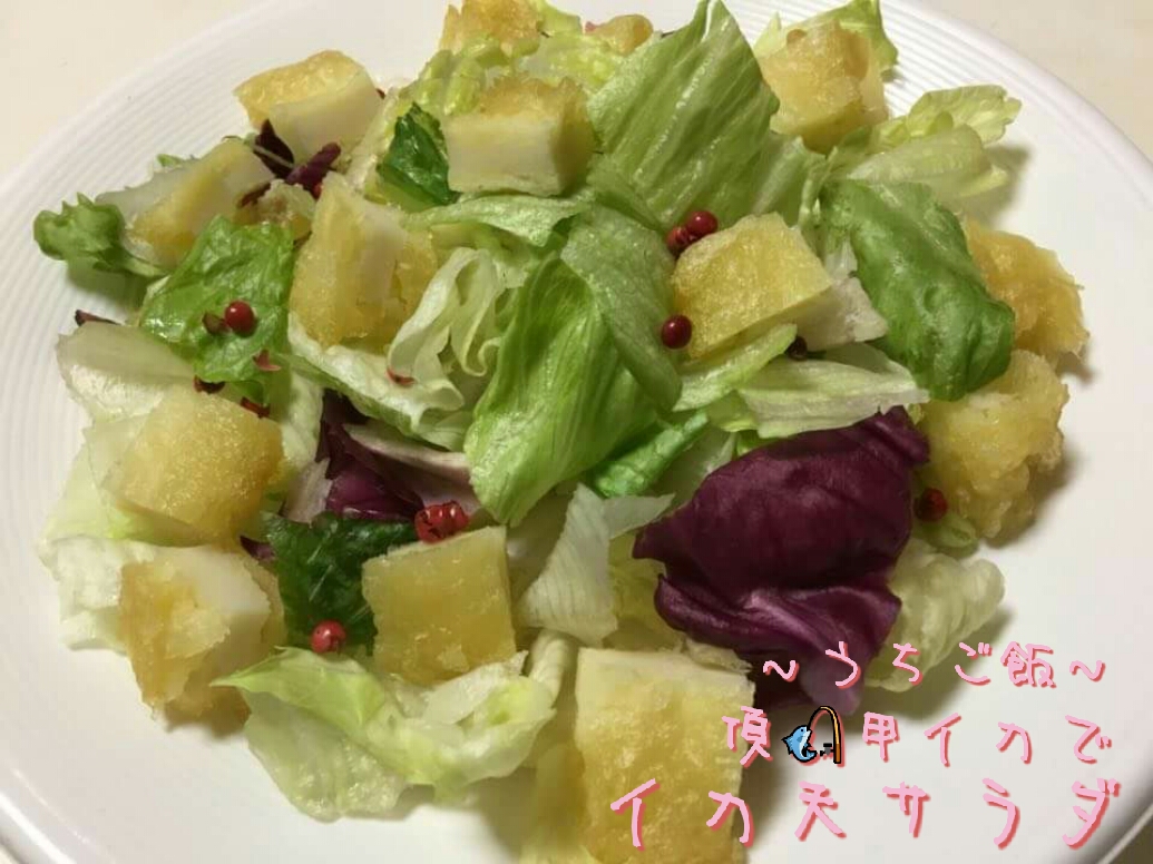 頂甲イカで🎣イカ天サラダ
