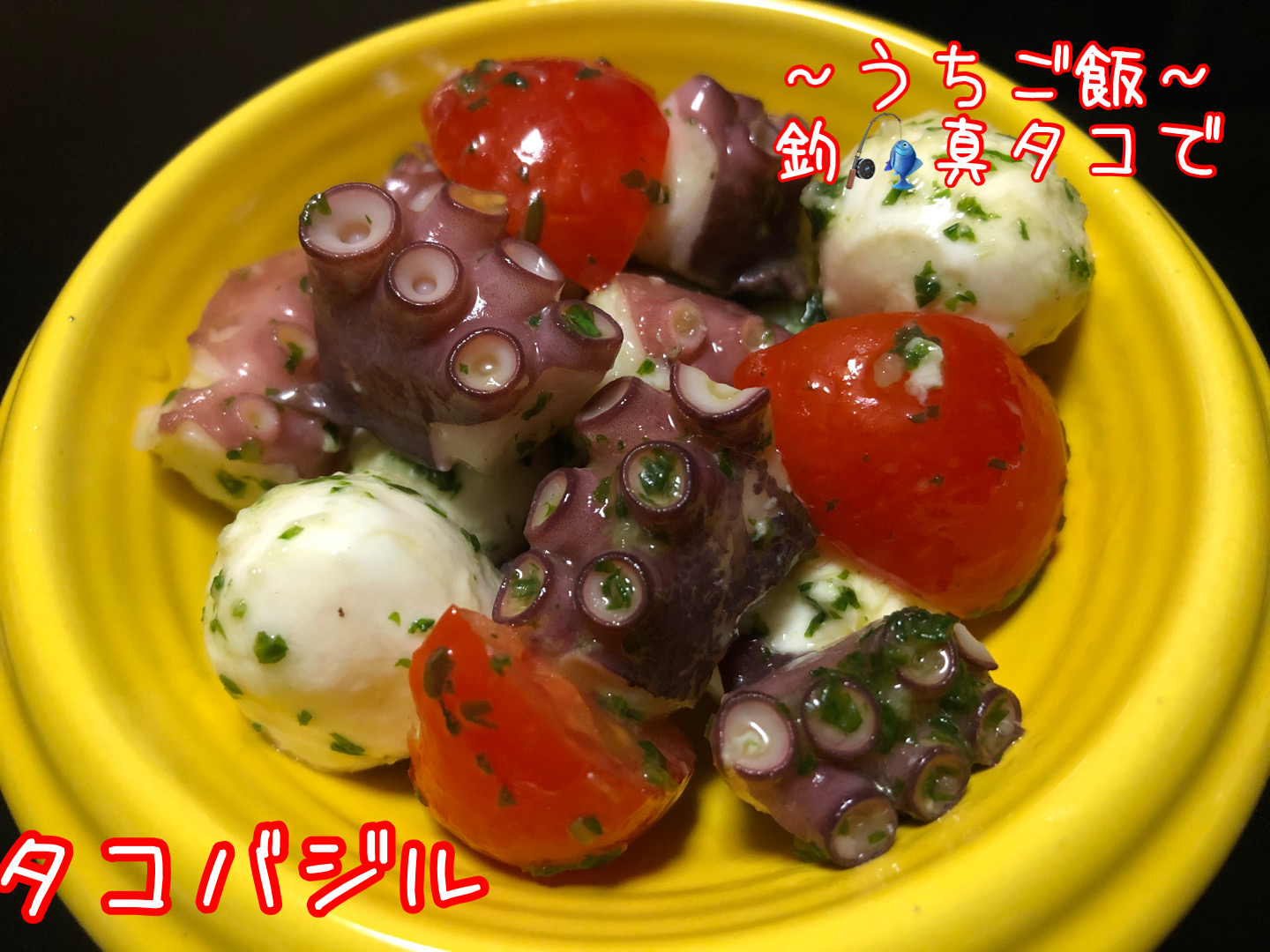釣真ダコで🎣タコバジル
