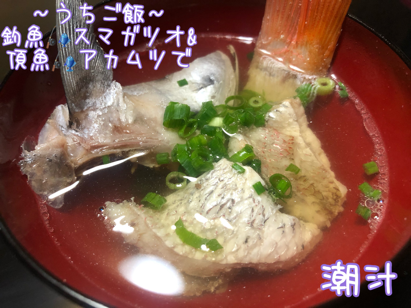 釣魚スマガツオ&頂魚アカムツで🎣潮汁